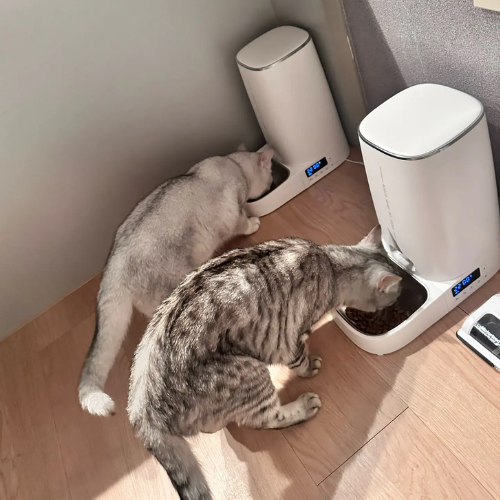 Alimentador Automático ROJECO 4L para Pets