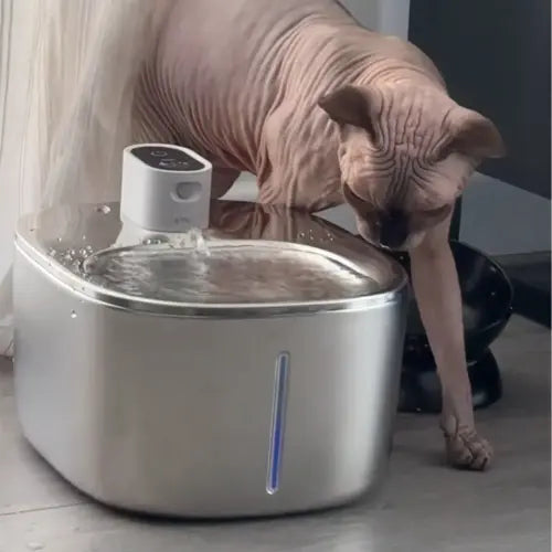 Fonte de Água Inteligente 4L para Pets - Apetdola