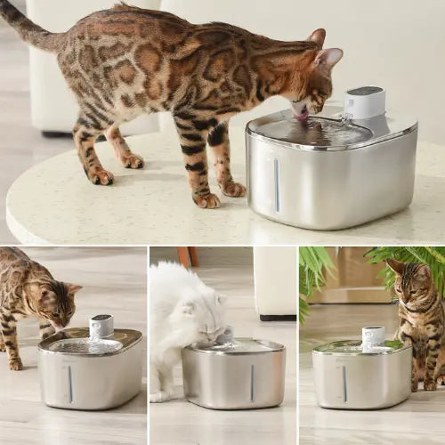 Fonte de Água Inteligente 4L para Pets - Apetdola